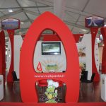 IMG_20230815_135822_653